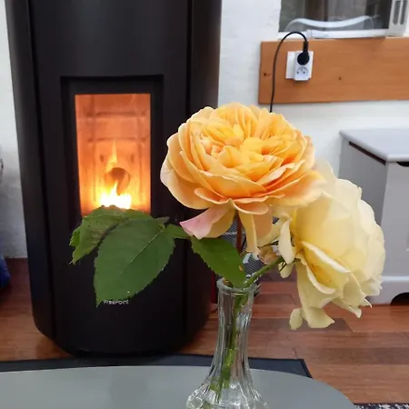 Holiday home Grand Climatise Ma Maison De Proche De La Rochelle 10 Personnes